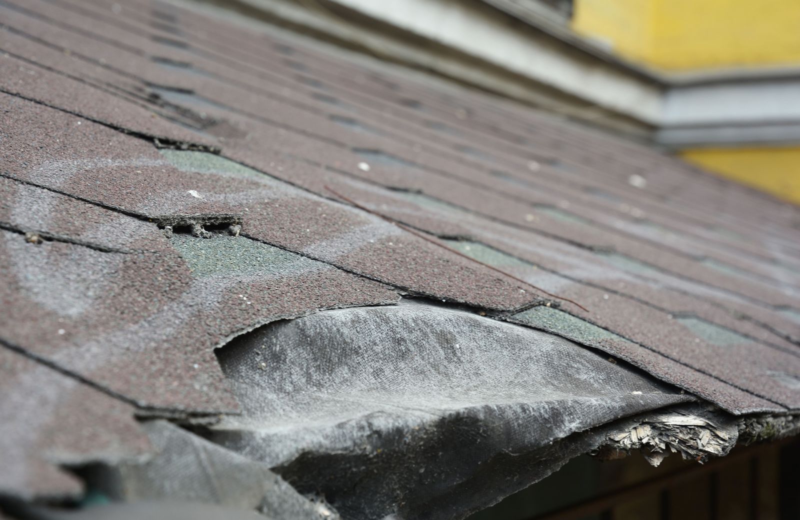 Major League Roofing Images