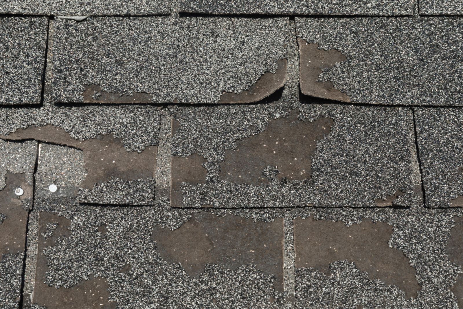 Major League Roofing Images