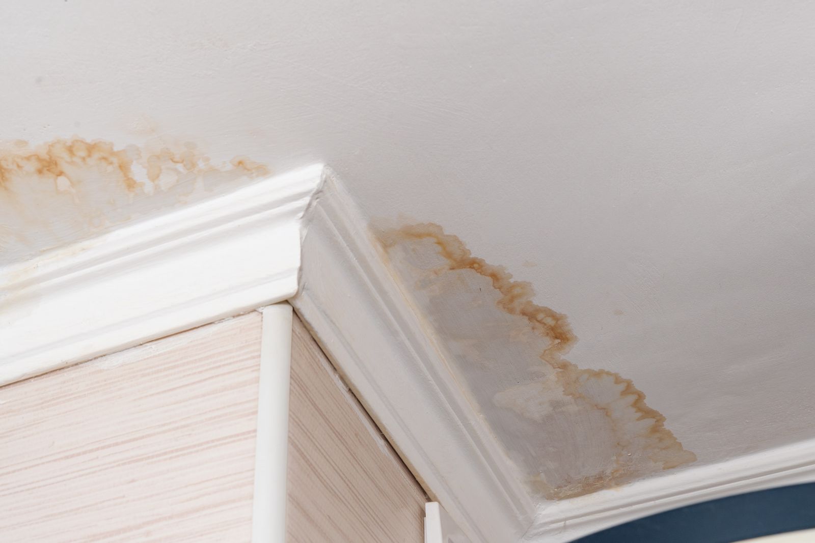Major League Roofing Images