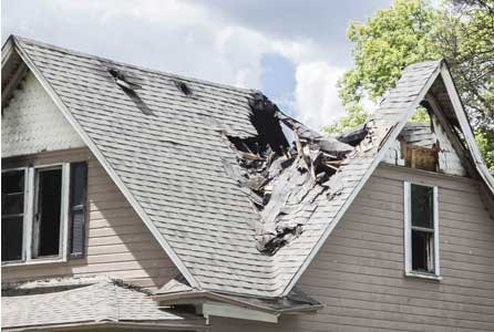 Tree damaged roof