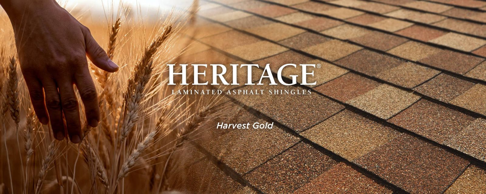 Major League Roofing Images
