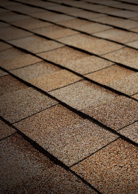 Major League Roofing Images