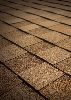 Major League Roofing Images