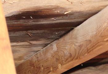 Major League Roofing Images