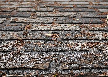 Major League Roofing Images